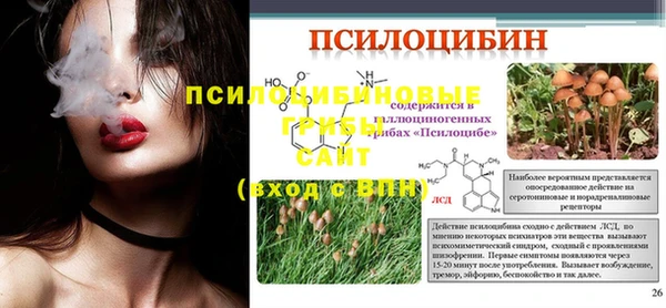 таблы Алзамай