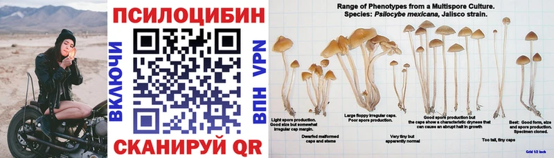 где найти наркотики  Навашино  blacksprut сайт  Псилоцибиновые грибы ЛСД 